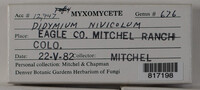 Image Associated With the Occurence